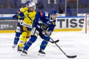 HCC - AROSA