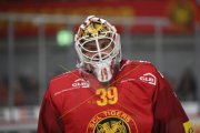TIGERS - LUGANO
