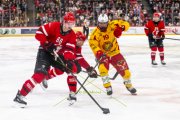 LAUSANNE - TIGERS