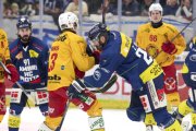 AMBRI - TIGERS