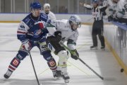GCK LIONS - OLTEN