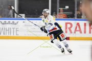 AMBRI - TIGERS