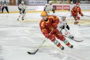 TIGERS - LUGANO