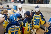 FIALA ALLSTARS - ZSC