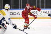 AMBRI - TIGERS