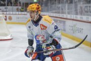 TIGERS - ZSC