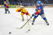 KLOTEN - TIGERS