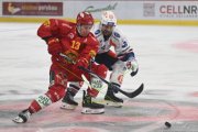 TIGERS - ZSC