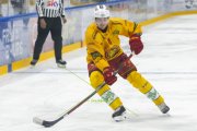 FRIBOURG - TIGERS