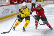 LAUSANNE - SC BERN