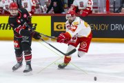 LAUSANNE - MOUNTFIELD