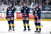 AMBRI - TIGERS