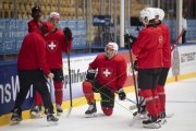 TRAINING SCHWEIZ