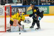 FRIBOURG - BERN