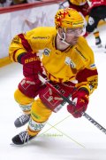 LAUSANNE - TIGERS