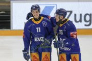 ZUG - TIGERS