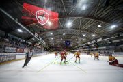 TIGERS - BIEL