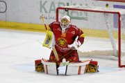TIGERS - FRIBOURG