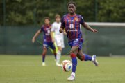BASEL - WIL