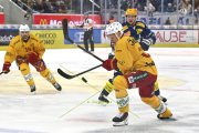 AMBRI - TIGERS