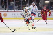 TIGERS - ZSC