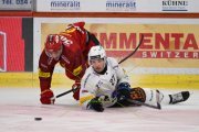 TIGERS - FRIBOURG