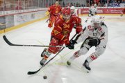 TIGERS - LUGANO