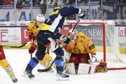 AMBRI - TIGERS