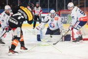 BERN - ZSC