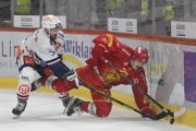 TIGERS - ZSC