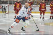 TIGERS - ZSC