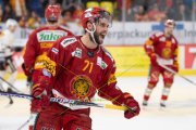 TIGERS - AMBRI