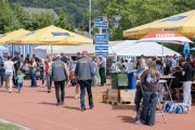 SOLOTHURNER KANTONAL SCHWINGFEST