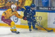 FRIBOURG - TIGERS