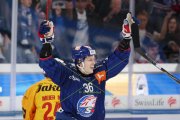 ZSC - TIGERS