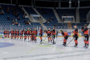 BASEL - HCC