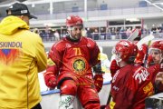 AMBRI - TIGERS