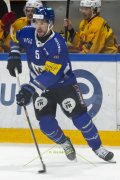 FRIBOURG - TIGERS
