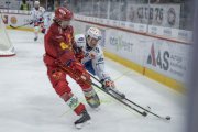 TIGERS - ZSC