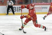 TIGERS - FRIBOURG