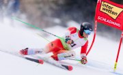 EUROPA CUP SPEED FINAL SAALBACH 2026