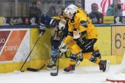 AMBRI - AJOIE