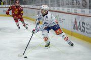 TIGERS - ZSC