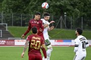 BELLINZONA - WIL