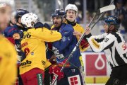 AMBRI - TIGERS