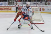 TIGERS - ZSC