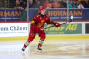 TIGERS - ZSC