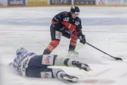 BASEL - HCC