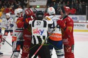 TIGERS - ZSC