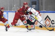 AMBRI - TIGERS